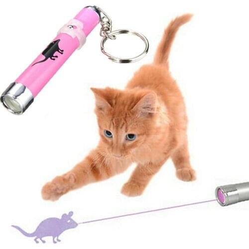 JINJONLIN Products For Cats