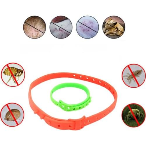 11pc Orange Dog Cat Collar Flea Tick Prevention Pet Collar Pest Control to Repel Flea Killer Collar Pet Cat Accessories