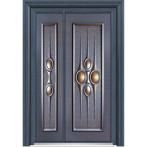 Stainless steel security door