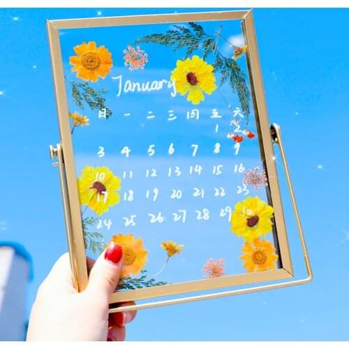 4/6inch Calendar Manual Dry Flower Photo Frame Table DIY Material Package Creative Decoration Home Decor Transparent Style