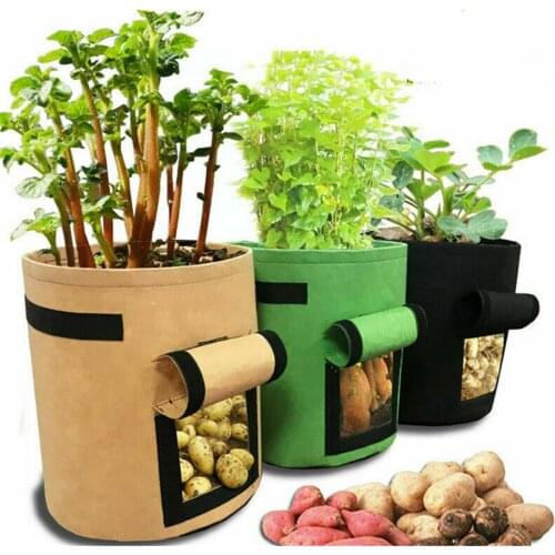 Soyo Outdoor Pots