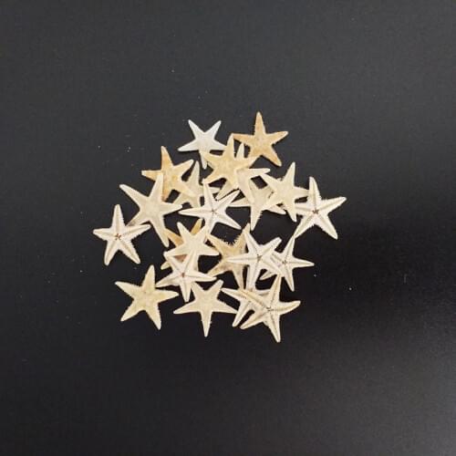 HappyKiss 20pcs Mini Starfish Craft Decoration Natural Sea Stars DIY Beach Cottage Wedding Decor sea star shells conch