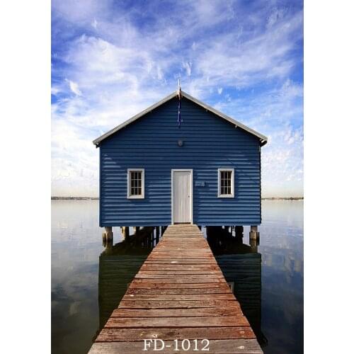 Cabin beach lakeside blue sky landscape photography background wedding photography daily photo newborn photo background