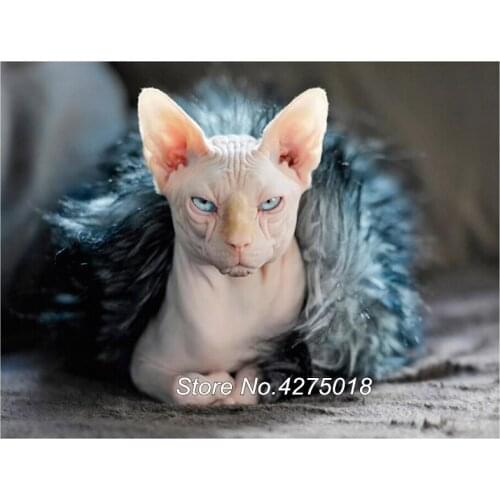 DIY 5D Full Square Drill Diamond Painting Animals Sphynx Cat Diamond Embroidery Mosaic Picture Of Rhinestone Home Decor YG665
