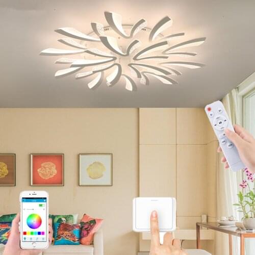 Modern acrylic creative Ceiling Light LED 220V novelty remote lamp bedroom living room restaurant hallway hotel bar parlor light