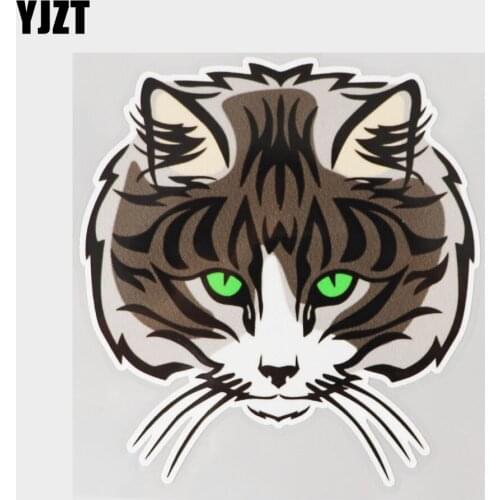 YJZT 13.3CM×13.9CM Creative Cats Muzzle Cool PVC Decal Car Sticker 11C-0325