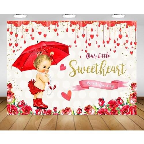 Little Sweetheart Newborn Baby Shower Backdrop Photography Wedding Newborn Princess Portrait Valentines Day Rose Background