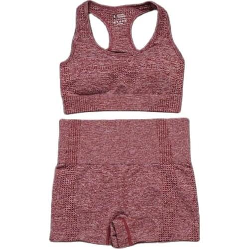 2 Piece Yoga Set Women Sports Bras Shorts Skin-friendly Breathable Slim Tight Gym Workout Trousers Boxing Tennis Running Suit