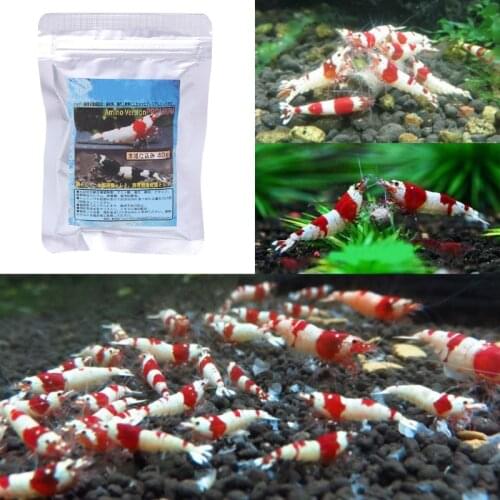 40g Snow Natto Shrimp Snail Food Feed Feeding For Aquarium Fish Tank Pond New 203C
