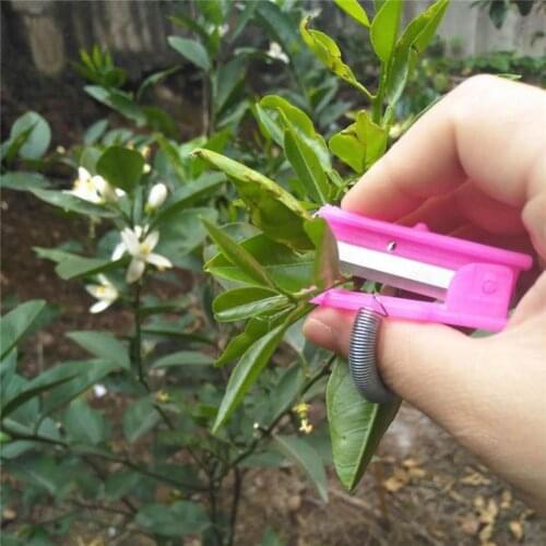 Vegetable Thumb Blade Mini Anti-rust Fruit Harvesting Picking Tool Portable Vegetable Finger Picker Knife for Farm Pruning Tool