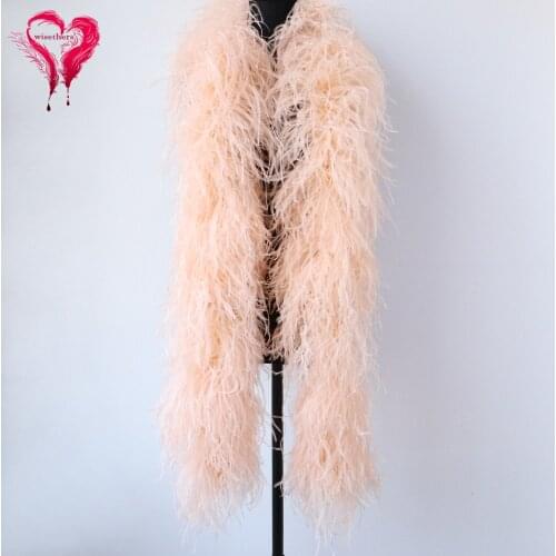 10Ply Fluffy Feather Boa Natural Ostrich Feather Champage Shawl Carnival Stage Clothing Sewing Boas Decoration Party Accessories