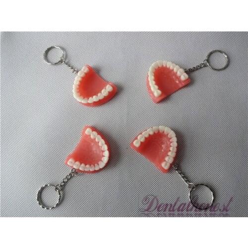 4PCS Teeth Model Keychain for Dentist Mobile Chain Dental Gift