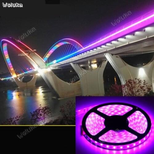 Light strip led neon super bright outdoor waterproof colorful color outdoor decorative ceiling 220V CD50 W03