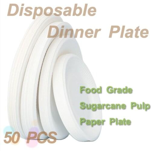 Disposable Dinner Plate Food Grade Sugarcane Pulp Paper Plate Snack Food Environmental Protection Tableware Set