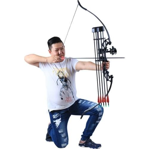 Bow and Arrow Detachable Recurve Bow and Arrow Set Hunting Target Archery Beginner 30-40Lbs Adult Bow Hunting Accessories