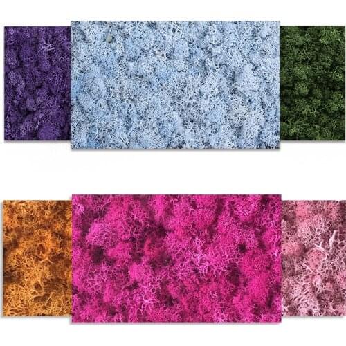 Mothers Day Gifts 200g DIY Decoration Long Time Lasting Preserved Moss Flower for Furnishing with All Kinds of Color