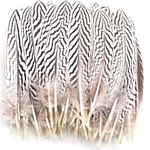 Wholesale White Silver Pheasant Feathers for Crafts 15-20cm 6-8inches DIY Wedding Party Decoration Carnival Plumas
