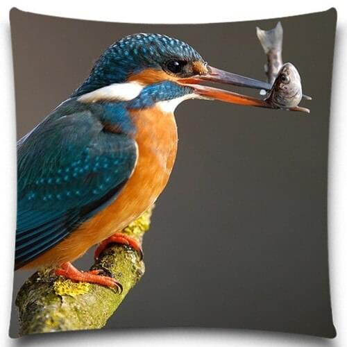 Animal series A bird with a fish in its mouth 2D print creative Pillow case Square cotton polyester cushion cover 5 size 9 style