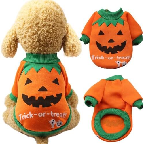 Winter Warm Pet Dog Clothes for Small Dogs Funny Halloween Puppy Cat Costume Chihuahua Yorkie Coat Jackets Pets Clothing Outfits