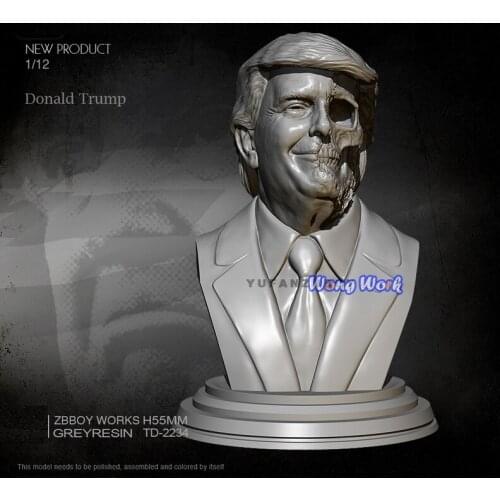Wong Work Unpainted Resin 55mm Bust Unassembled Garage Kits GK Model Kit Figure TD-2234