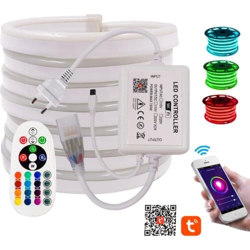 RGB Neon Sign Tape Rope Lamp WIFI Bluetooth Remote Control Flexible Led Strip Lights Outdoor Garden Waterproof Ribbon