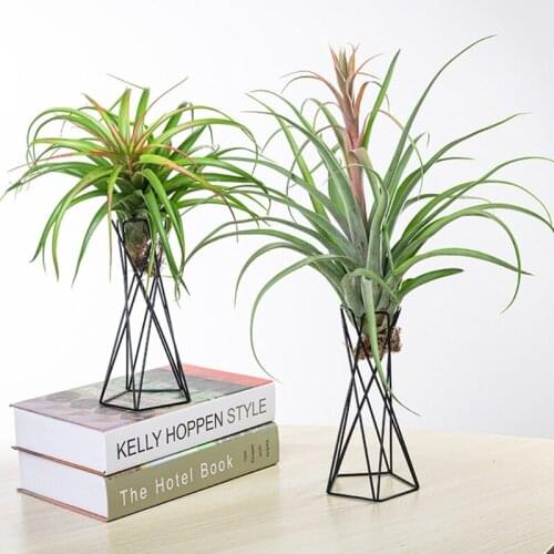 Nordic Style Air Plant Holder Metal Flower Pot Stand Geometric Iron Tillandsia Holder Table Home Garden Ornaments