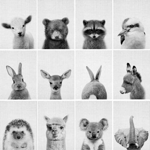 Black White Baby Animal DIY Diamond Painting Cross Stitch Rabbit Deer Elephant Diamond Embroidery Home Room Nursery Decor