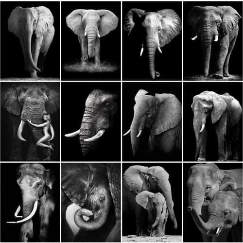 3D Diamond Mosaic Animal Rhinestones Art Full Square 5D Diy Diamond Painting Elephant Diamond Embroidery Cross Stitch Home Decor