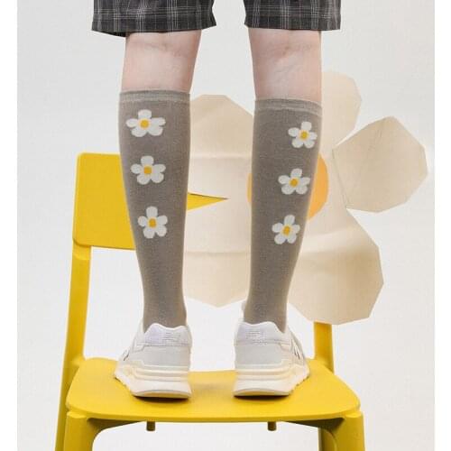 Japanese girl Lolita Stockings Japanese Department Spring and Summer and Knee Socks Girls College XWZ-CT011