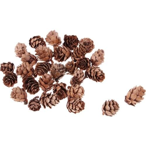 Prettyia 30x Mini Natural Dried Pine Cones For Christmas Party Ornament DIY