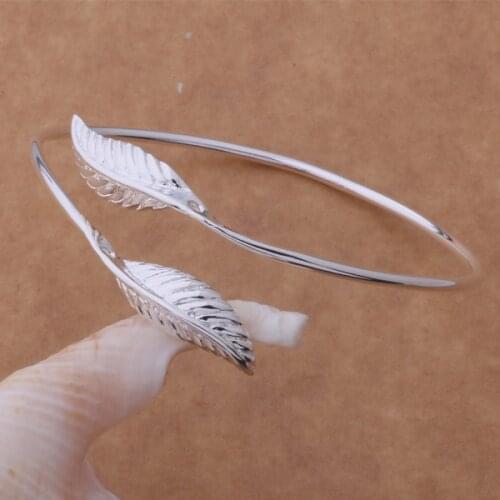 AB073 Hot sterling bangle bracelet, fashion jewelry Double leaf bracelet /ahgaiyna ajwajbda silver color