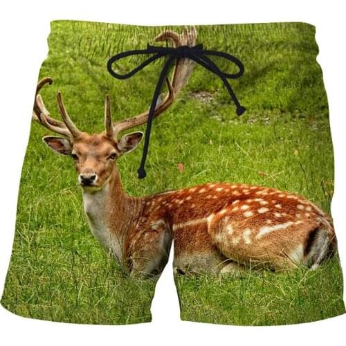 2021 Summer Mens 3D Printed Beach Shorts Running Sports Workout Shorts for Men Quick Dry Training Gym Athletic Mens Shorts