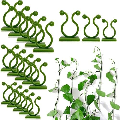 Wall Rattan Clamp Plant Climbing Wall Self-Adhesive Fastener Tied fixture Rattan Fixed Bracket Fixed Plant Stent Sup Buckle Hook