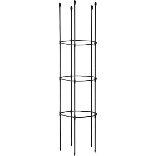 Plant Trellis Cherry Tomatoes Economical Conical Shaped Plastic High Quality Stainless Steel Mixed Set Vines Clinging Roses