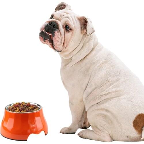 2108 New Pet Product Melamine Dog Bowl High Style Pets Pot Slow Down Eating Drinking Feeding Pet Tool