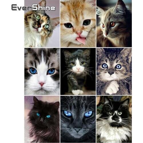 EverShine Diamond Painting Cat DIY 5D Full Square Diamond Embroidery Animals Cross Stitch Bead Picture Kit Handwork Art Gift
