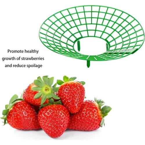 27cm Strawberry Supports Stand Keep Plant Off Rot in the Rainy Days Fruit Support Plant Flower Climbing Vine Pillar
