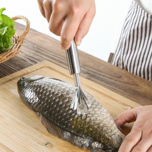 2PCS Stainless Steel Fish Scale Remover Slicer Coconut Grinder Planing Fish Scale Coconut Shredding Tool Kitchen Fruit Gagdets