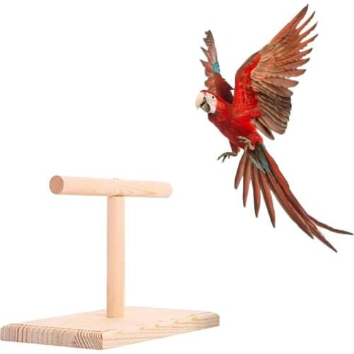 Pet Parrot Bird Toy Wooden Stand Bird Bite Toy Springboard Parakeet Cockatiels Branch Perches Standing Rack Bird Supplies