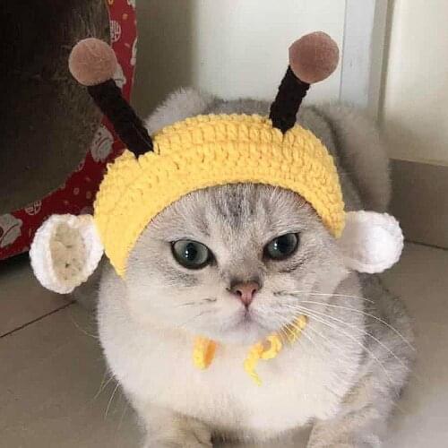 Super Cute Ins Hit Bee style Puppy Kitty headwear Pet Supply Accessories Costume headgear Cat hats Dog hats