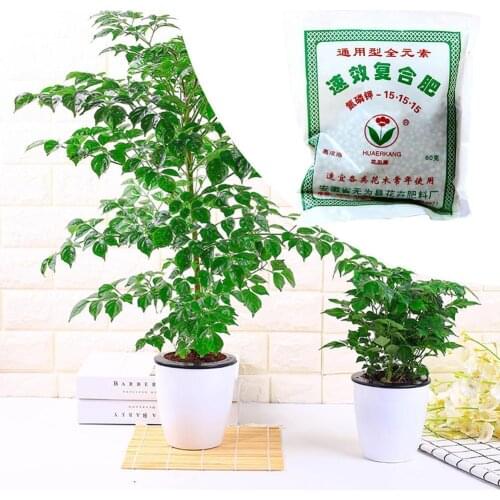 Suitable For All Kinds Of Flowers And Trees To Use Fertilizer - Compound S4B5