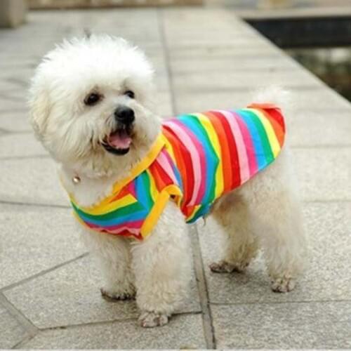 Pet dog summer color vest striped thin dog clothes pet supplies Teddy