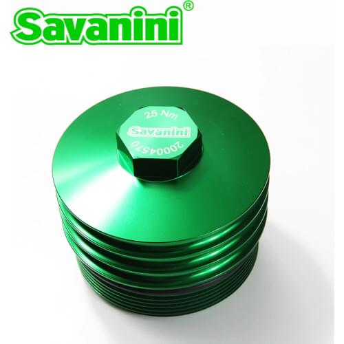 Savanini Oil Filters For Cars