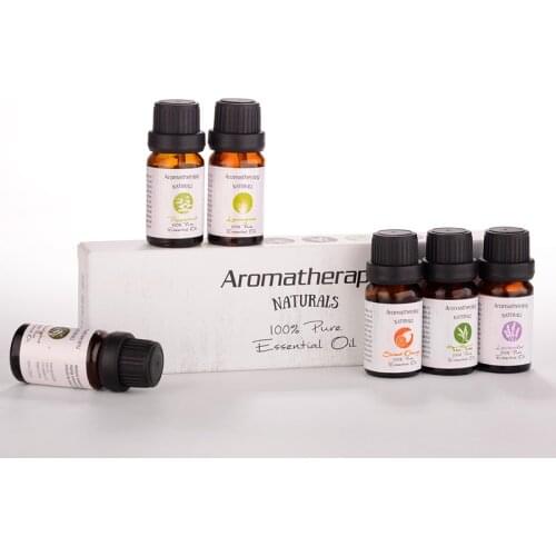 10ml *6 100% Pure Aromatherapy Essential Oil for Sachet, Aroma Mist, Humidifier,etc. 6 Scents Lavender, Lemongrass, Eucalyptus