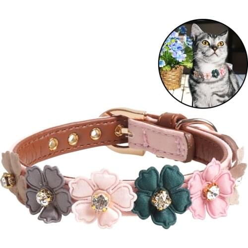 Legendog Collars