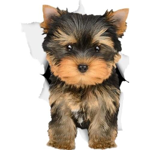 S40748# Various Sizes Self-adhesive Decal Yorkshire Terrier Dog Car Sticker Waterproof Auto Decors on Bumper Rear Window