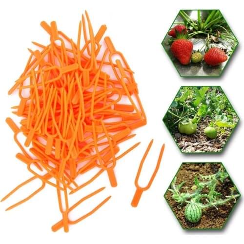 50Pcs Plastic Plant Clips Garden Tools Plant Climbing Support Clips Smooth Surface Clips For Watermelon Strawberry Vines Supplie