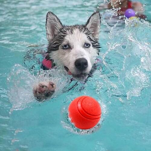 Pet Dog Toy Interactive Rubber Balls Pet Dog Cat Puppy Chew Toys Ball Teeth Chew Toys Tooth Cleaning Balls Food