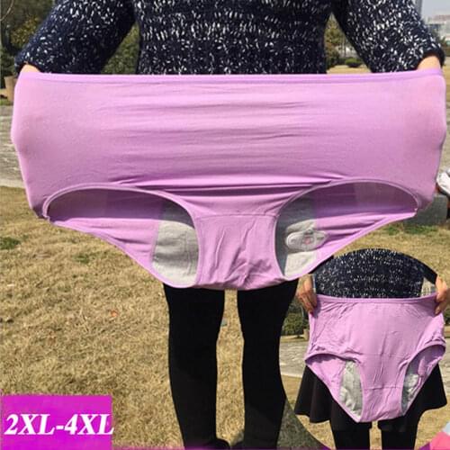Women Panties Plus Size Panty Menstrual Period Physiological Underpants Bamboo Fiber Seamless Briefs Cotton Female Underwear
