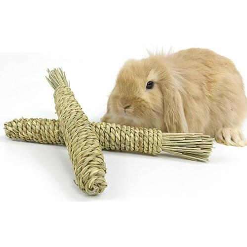 1pcs Rabbit Chew Toy Interactive Parrot Teeth Cleaning Toys Straw Plaything For Small Animal Rabbits Rats Hamster Accessories